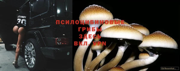 бошки Абинск
