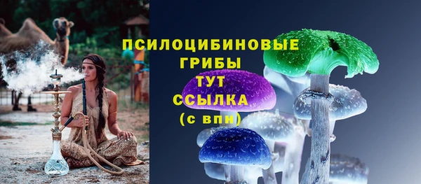 прущая мука Новодвинск