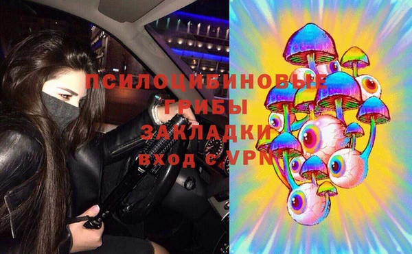 ГАЛЛЮЦИНОГЕННЫЕ ГРИБЫ Абаза